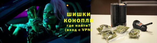 прущие грибы Абинск